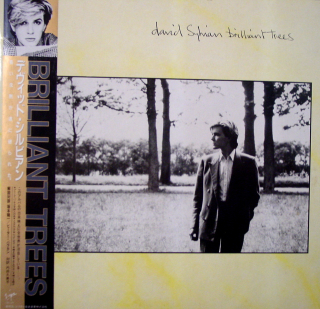 SYLVIAN DAVID