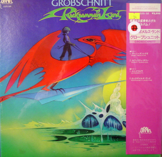 GROBSCHNITT